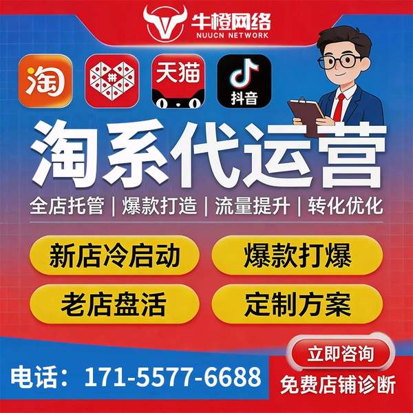 信阳电商代运营