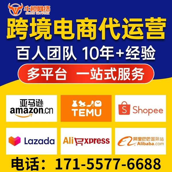 信阳电商代运营