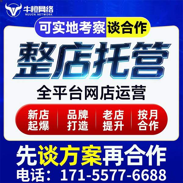 信阳电商代运营