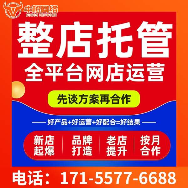 信阳电商代运营