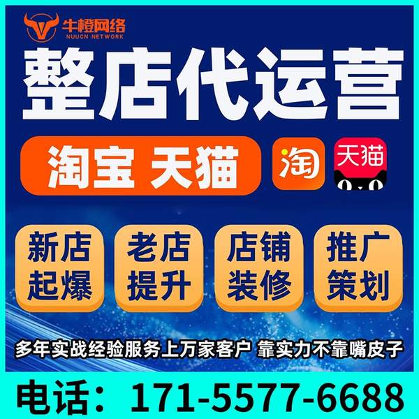 信阳电商代运营