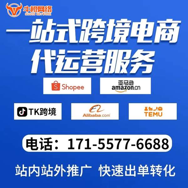 信阳电商代运营