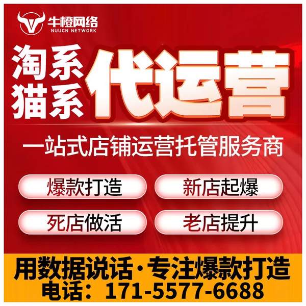 信阳电商代运营